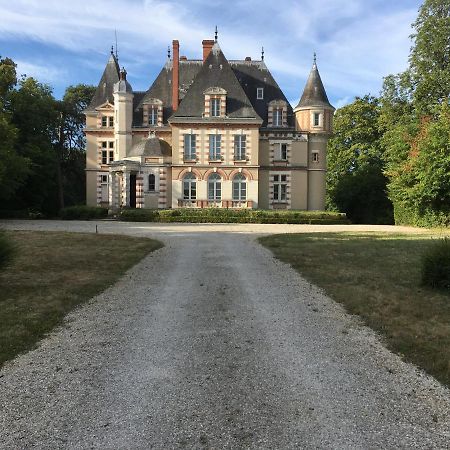Chateau De Praslins Nogent-sur-Vernisson Zewnętrze zdjęcie