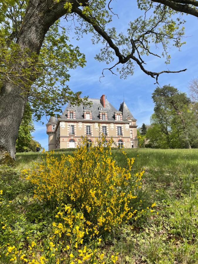 Chateau De Praslins Nogent-sur-Vernisson Zewnętrze zdjęcie