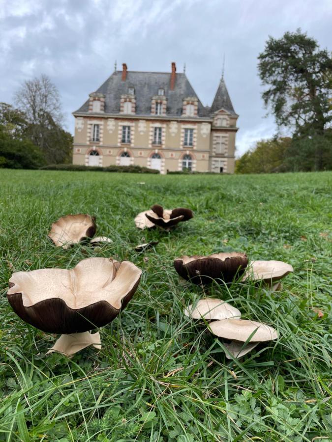 Chateau De Praslins Nogent-sur-Vernisson Zewnętrze zdjęcie